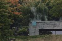 BALNEA thermal spa in the forest - Balnea Spa