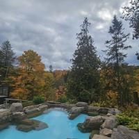 Forest Thermal Pool at Beaux Rêves - Beaux Rêves Inn & Nordic Spa